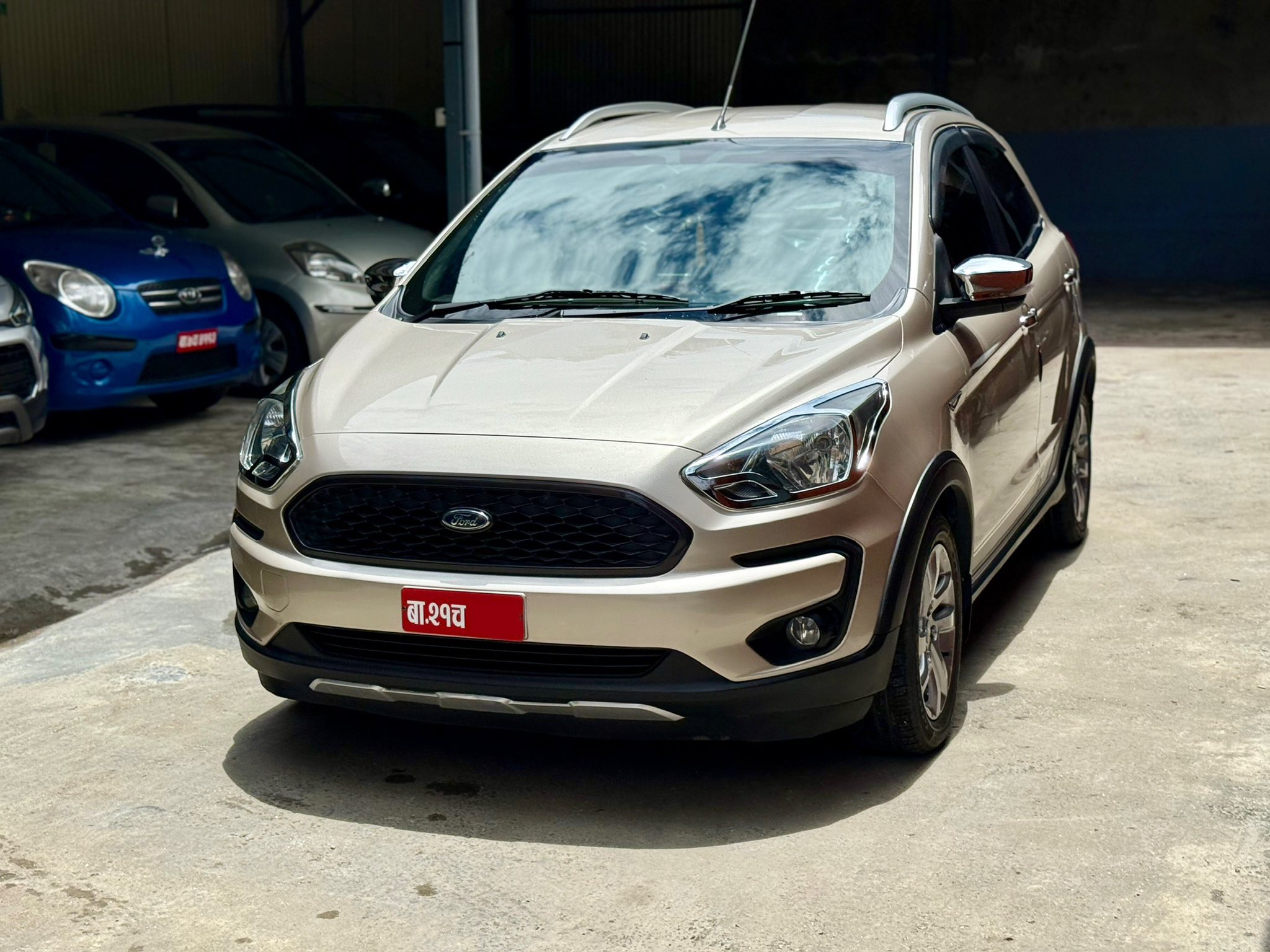 Freestyle Titanium